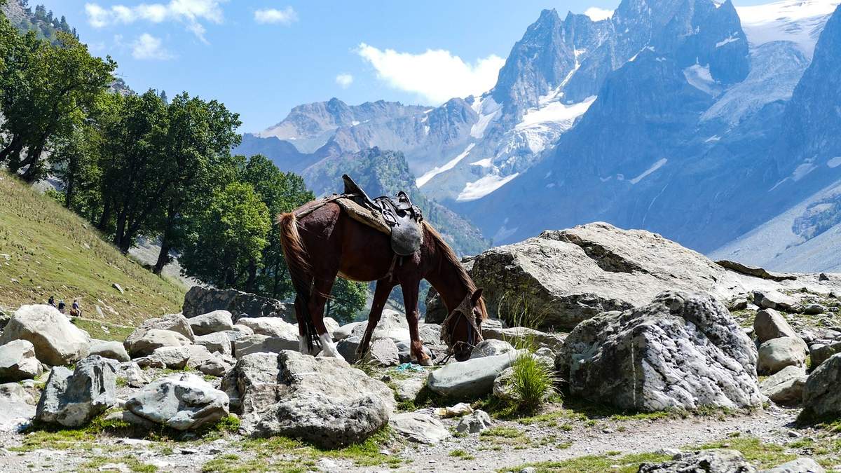 Take a Pony Ride in Pahalgam